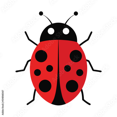 ladybug vector on white background 