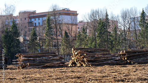 Deforestation for construction. Felled forest in a forest clearing