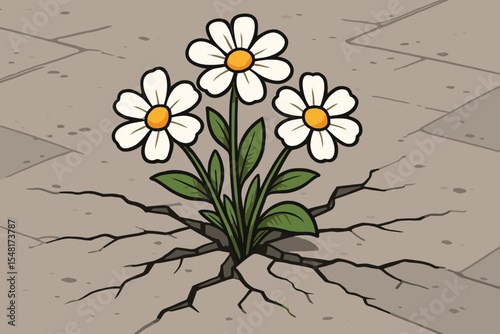 White daisy flowers bursting through cracked concrete pavement, symbol of resilience, hope and natural beauty prevailing in urban environments, concept of strength, growth, survival and renewal
