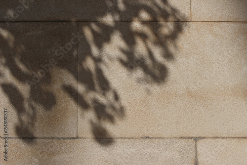 Shadows of tree leaves, branches on beige textured limestone wall in sunlight. Abstract natural background, stone wallpaper stone. Floral shadows overlay. Minimal neutral grunge backdrop.