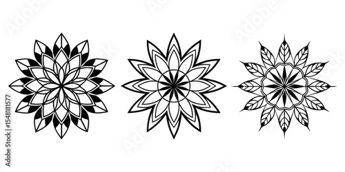 black and white flower vector