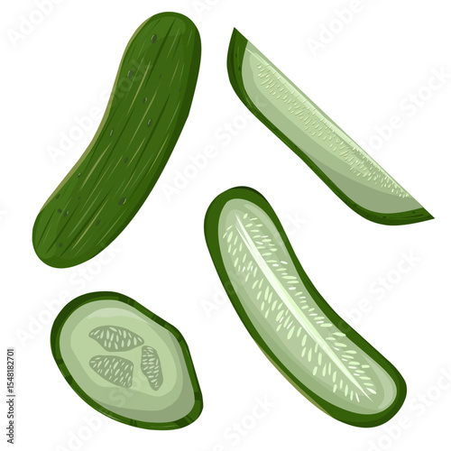 vector clipart illustration of pickled cucumber with various slices