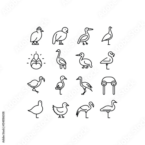   42  vector illustration of 16 ostrich  emu  cass.eps