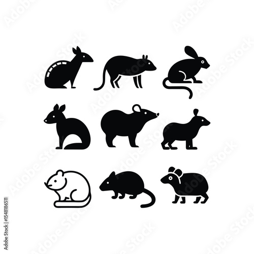   32  vector illustration of 16 armadillo  anteate.eps