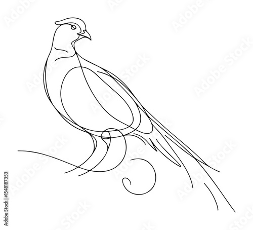 pigeon perched – graceful monoline bird illustration