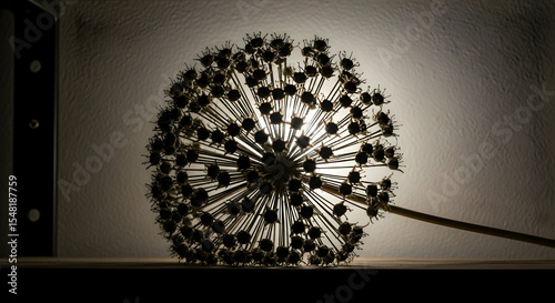 Dramatic Allium Flower Silhouette Against A Softly Lit Background