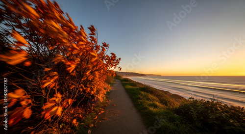 Coastal Path In Autumn With Vibrant Colors At Beautiful Sunset Time