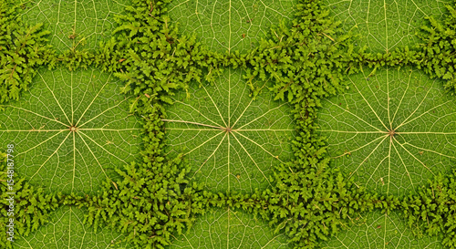 Geometric Greenery A Pattern of Leaves and Moss for Natural Design