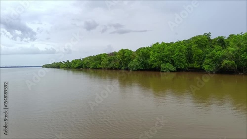 View of river, forest and calm water during light rain in the morning.