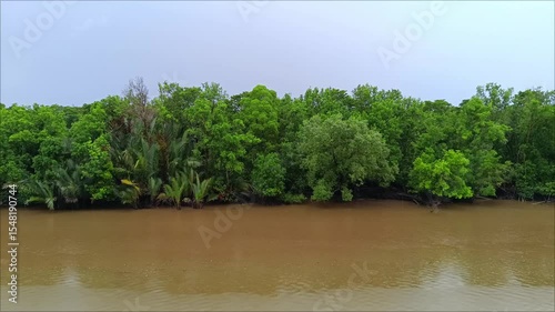 View of river, forest and calm water during light rain in the morning.