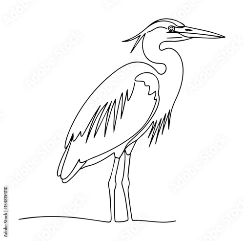 heron bird standing side view line art