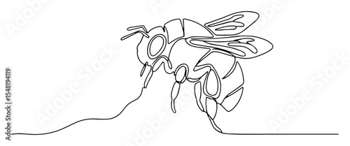 honey bee on surface line drawing