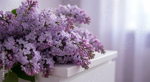 Fragrant Lilac Blooms on White Cabinet with Soft Light Background