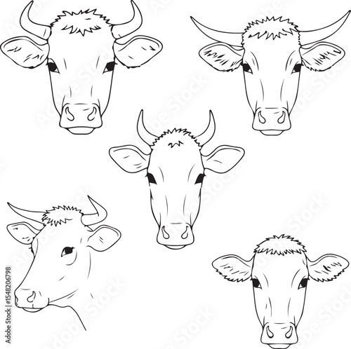 Line Art Cow Heads: Four Detailed Illustrations