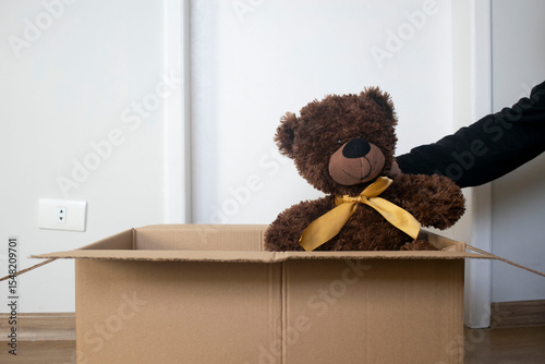 Putting the teddy bear in the cardboard box to moving out