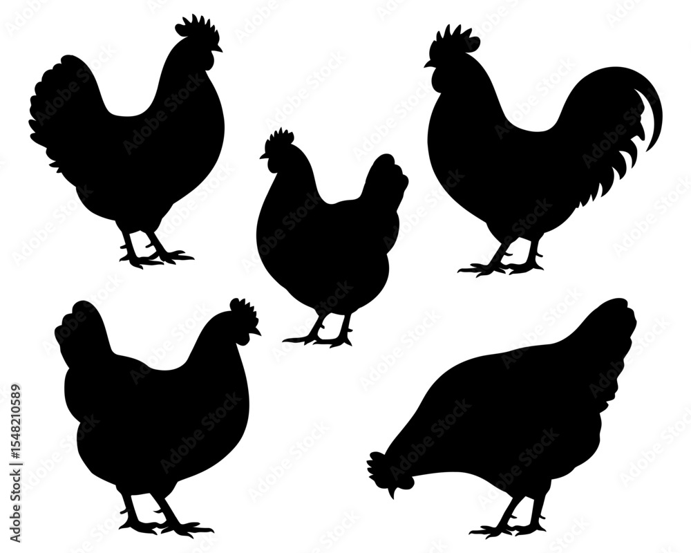 Fototapeta premium Silhouettes of chickens and roosters on white background