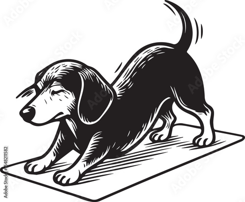 illustration of a dachshund yoga dog