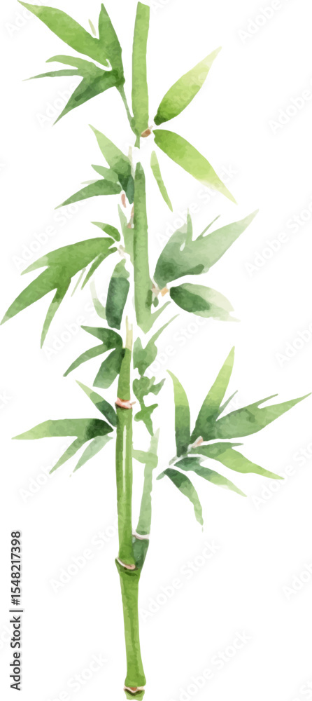 Fototapeta premium Vector watercolor painted bamboo. Hand drawn flower design elements isolated on white background.