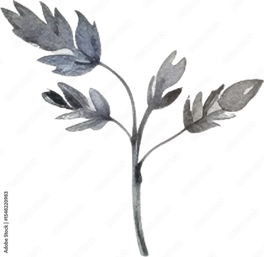 Vector Watercolor painted flower. Hand drawn flower design elements isolated on white background.