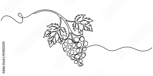 Continuous Line Drawing Of Grapes On A Transparent background, One continuous line drawing of a grape bunch, minimalist and clean. A simple, line art grape isolated on a white background vegan symbol 