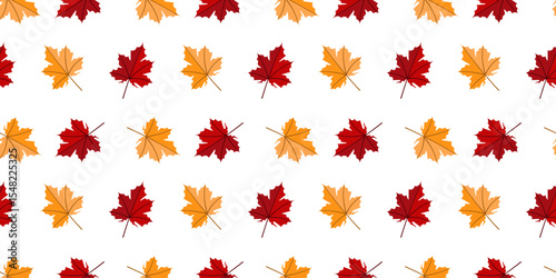 A Beautiful and Colorful Pattern of Autumn Leaves Perfect for Seasonal Home Decor