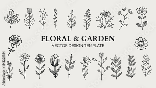 Minimal Botanical Floral Garden Hand-Drawn Line Art Design Collection.