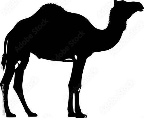 A camel is standing in a field with the words camels and the word camel
