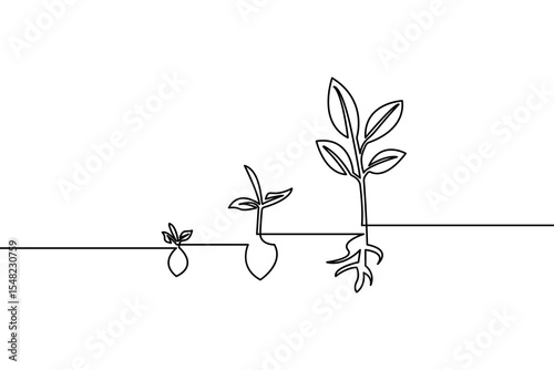 Continuous line drawing illustrating plant growth and development showing stages from seedling to mature plant with roots and leaves in monochrome