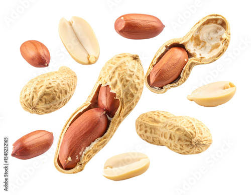 Set of nuts isolated isolate on transparent background.