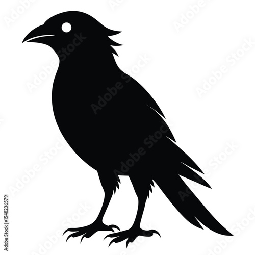 Silhouette of a Raven A Black Bird Illustration