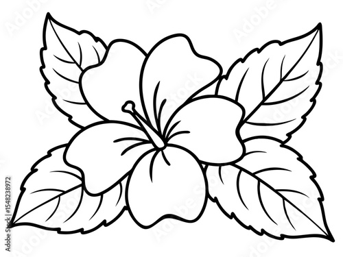 Line drawing of a hibiscus flower with leaves isolated on white background