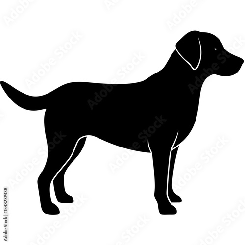 Black labrador retriever silhouette isolated on white background