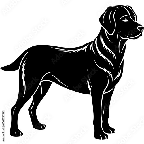 Black labrador retriever silhouette isolated on white background