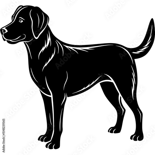 Black labrador retriever silhouette isolated on white background