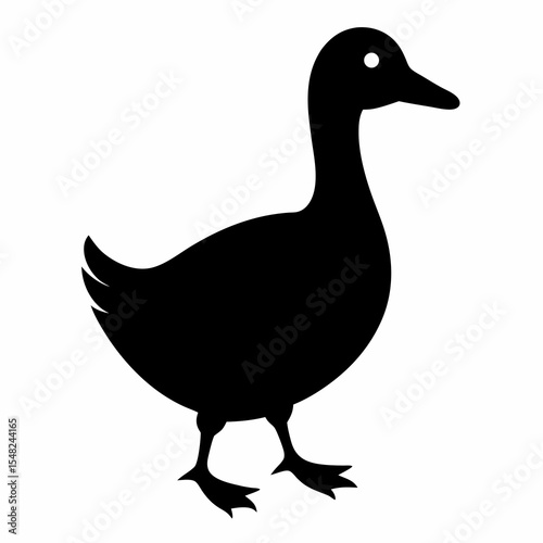 duck isolated on white background
