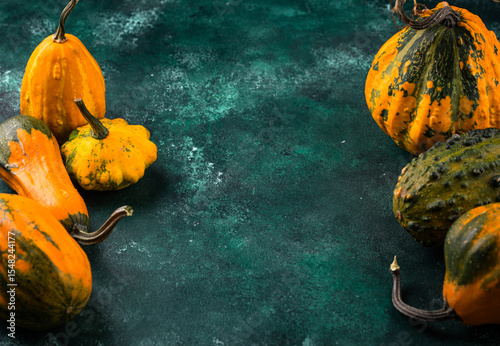 Various decorative pumpkin on green background