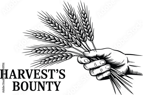 A hand holding a bundle of wheat stalks in a black and white drawing with harvest's bounty text below it