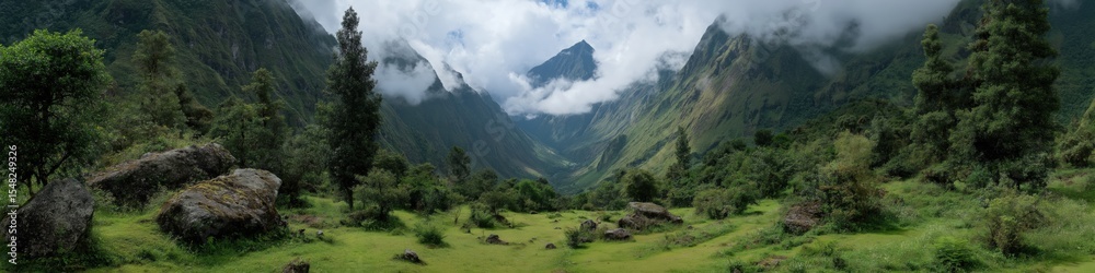 Fototapeta premium Lush green valley with cloud-covered mountains and dense forest