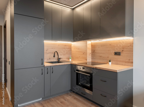 Modern Home Apartment Kitchen Design With Gray Cabinets and Wooden Countertops