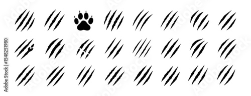Claw scratches mark set, cat tiger paw scratch shape, animal trace isolated on white, wild predator damage, feline attack, scary slashes, vector illustration, png.