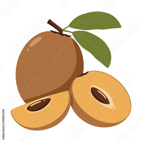 A sapodilla vector design illustration | Fully white background, good and clean design and eye catching design.