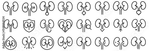 Kidneys logo design template, urology vector icon, medical health care symbol, anatomy illustration, clinic branding, organ graphic, healthcare identity, vector illustration.