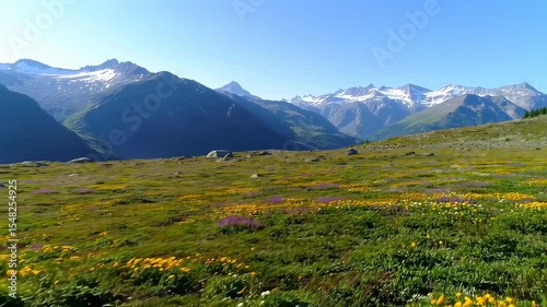 Beautiful Mountain Landscape with Wildflowers and Snow-Capped Peaks in Summer