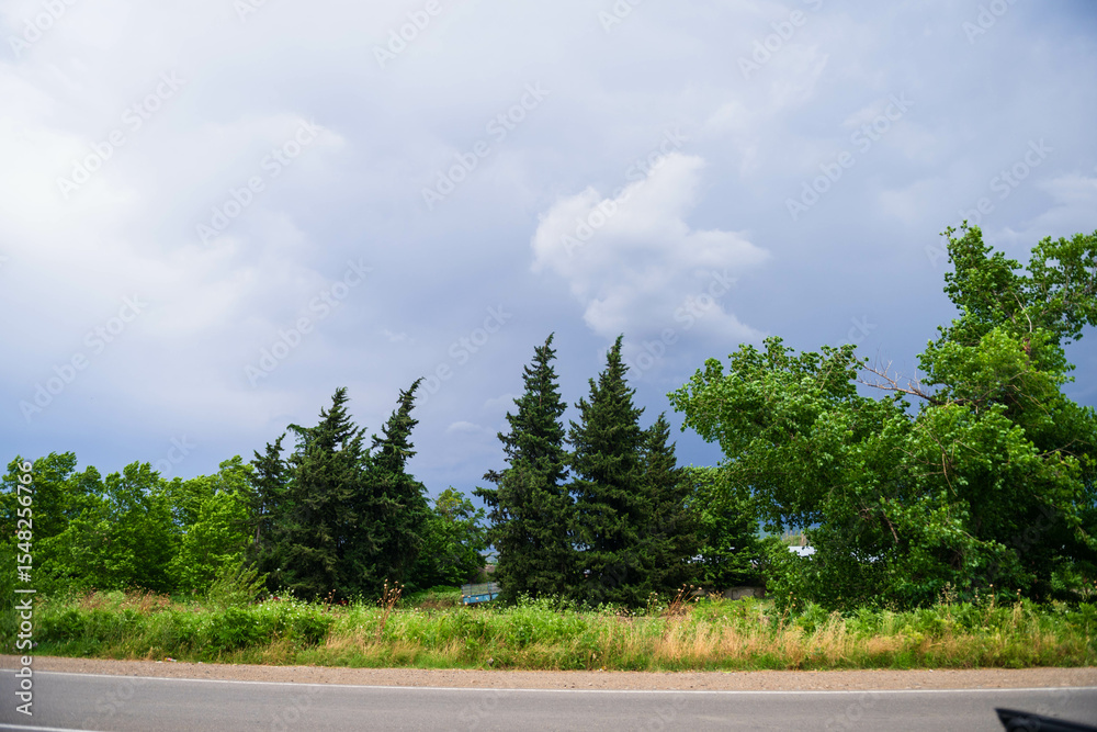 Roadside landscape with fir trees under the cloudy sky, Georgia Roadside landscape with fir trees under the cloudy sky, Georgia