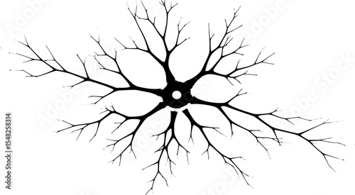 Nerve Cell Vector SVG | Neuron Silhouette SVG Design
