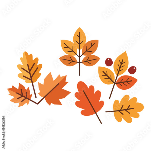A autumn leaf vector design illustration | Fully white background, good and clean design and eye catching design.
