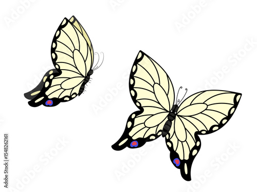 Swallowtail butterfly. Abstract vector illustration of butterfly