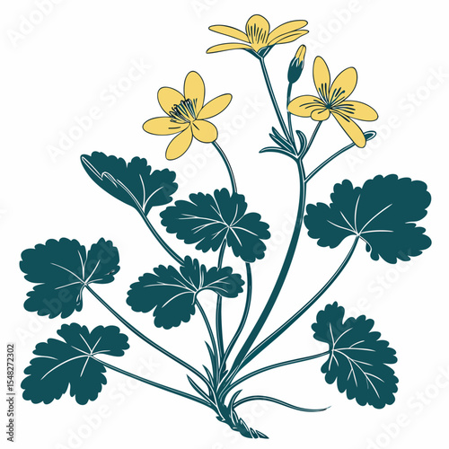 vector illustration of a  lesser celandine