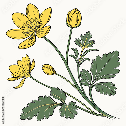 seamless pattern with yellow  lesser celandine