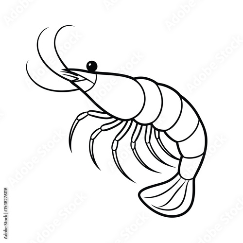 vector illustration of a shrimp on white background